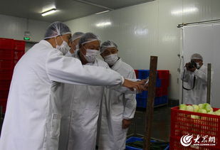 莱西市组织开展食品生产加工企业集中整治行动