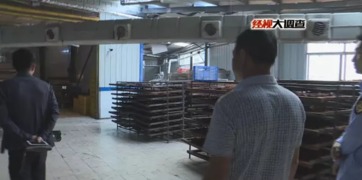 邵阳一食品加工厂曝 苍蝇水 加工 屡次整改无效被关停